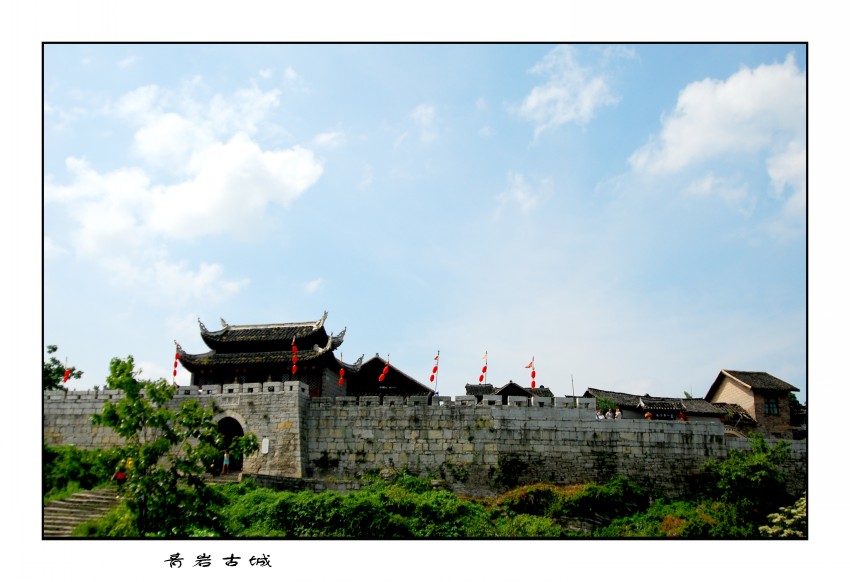 DSC_7892_conew1.JPG