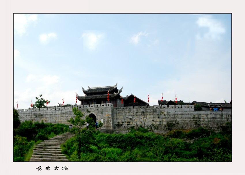 DSC_7875_conew1.JPG