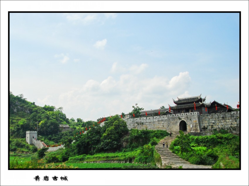 DSC_7876_conew1.JPG