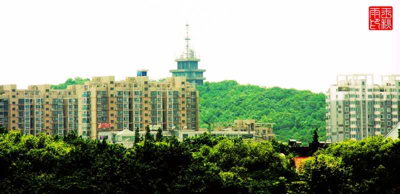 Ƭ 078.jpg
