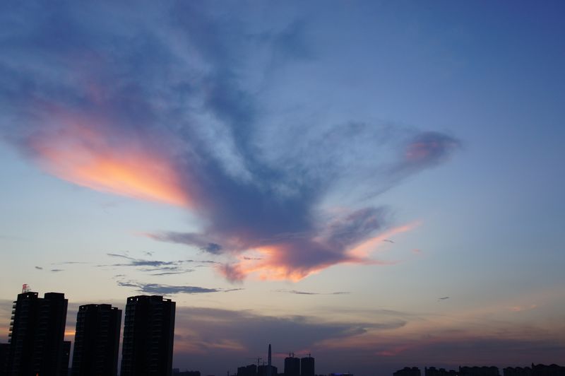 DSC07085.JPG