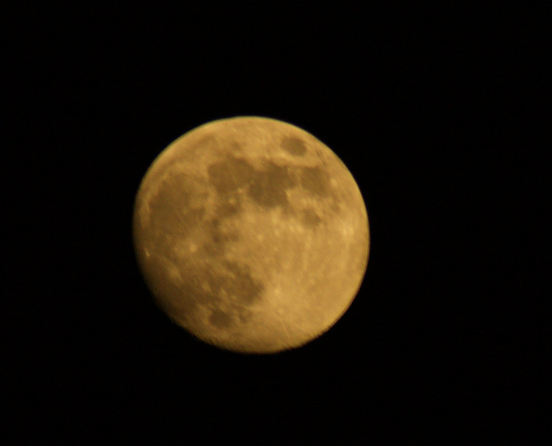 DSC09132.JPG