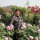 {A22FA753-11D3-4AA2-939D-2871192A95CD}.jpg