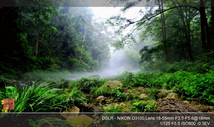 Ƭ 058.jpg