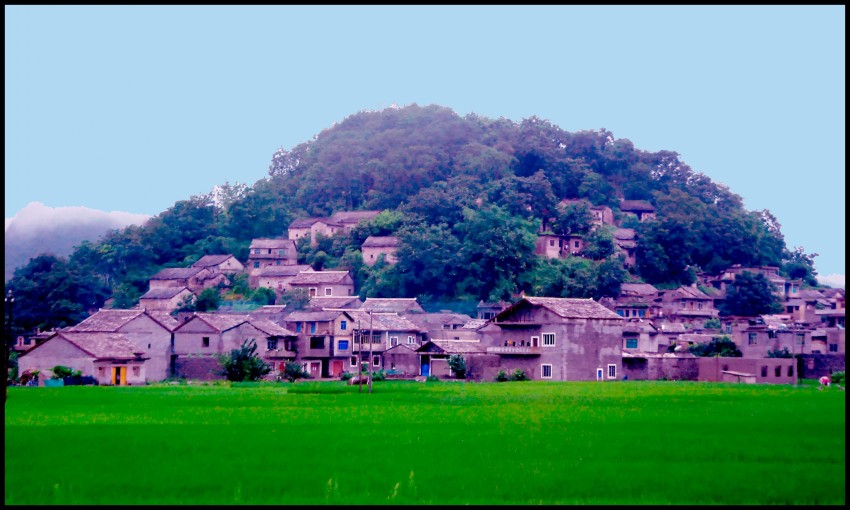 DSC_8606_conew3.JPG
