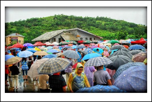 DSC_8634_conew2.JPG