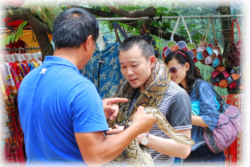 DSC_9646_conew1.JPG