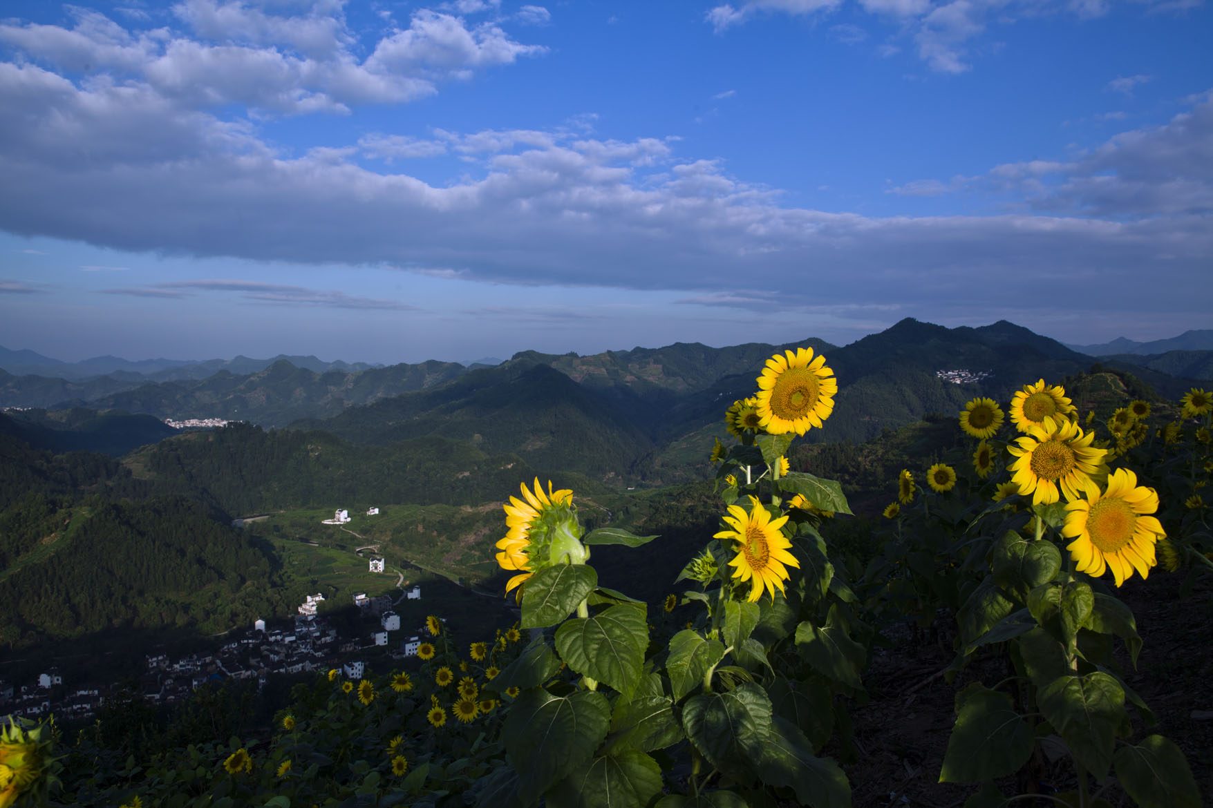 _MG_7210-1.jpg