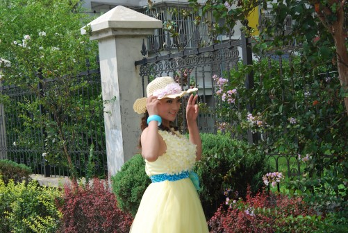 DSC_2972_conew1.JPG