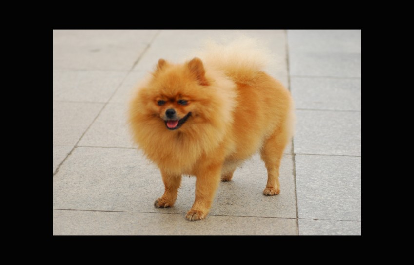 DSC_4344_conew1.JPG