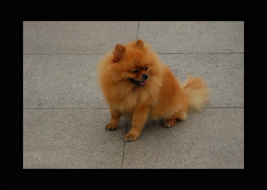 DSC_4345_conew1.JPG