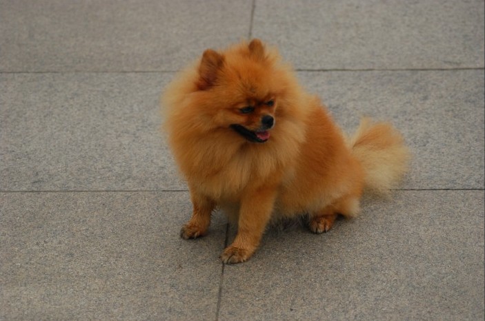 DSC_4345_conew3.JPG