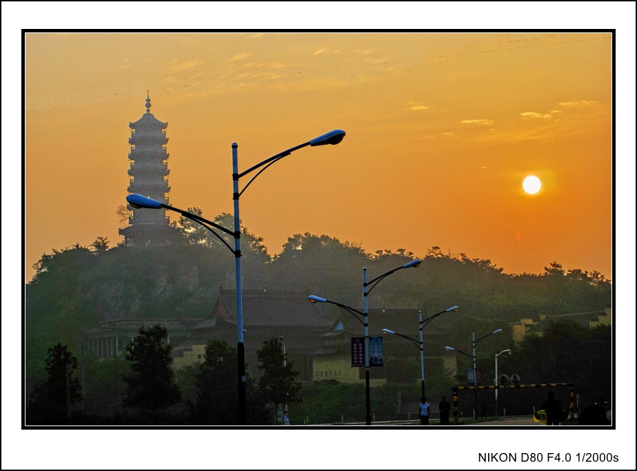 DSC_5313_conew3.JPG