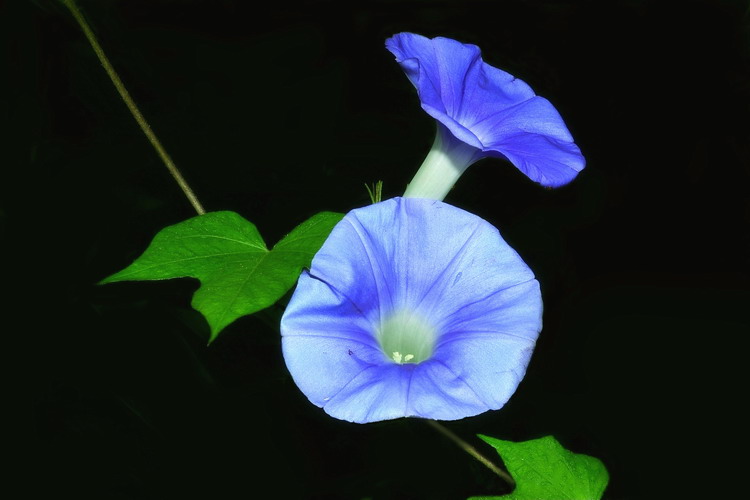  Ƭ 193.jpg