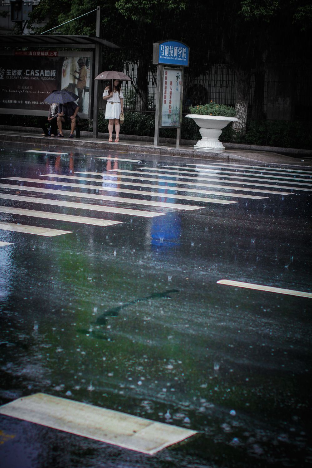 IMG_8885Ϊܶ-1.jpg