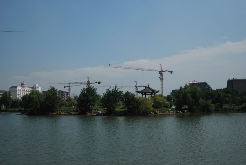 DSC_5884_conew1.JPG