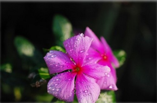 DSC_6333_conew3.jpg