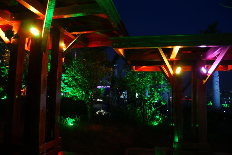DSC09425.JPG