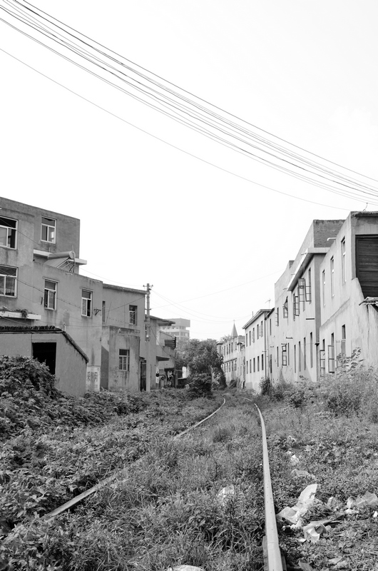 DSC_3875.jpg
