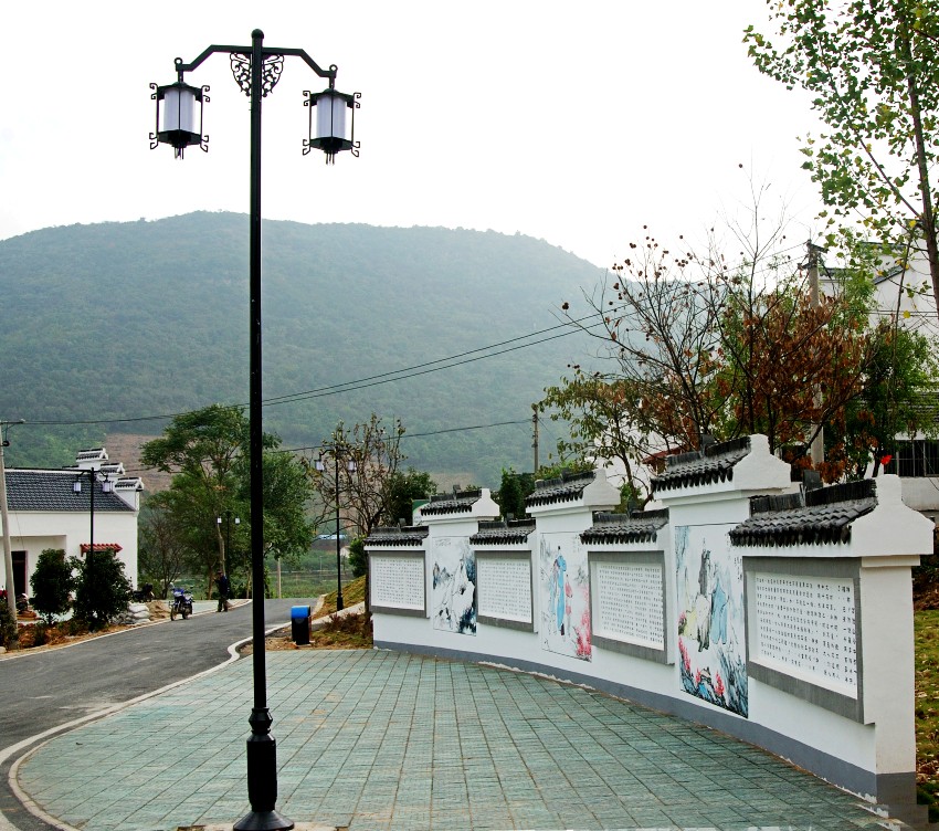 DSC_7068_conew1.JPG