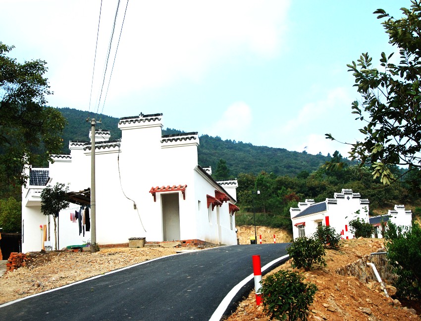 DSC_7041_conew1.JPG