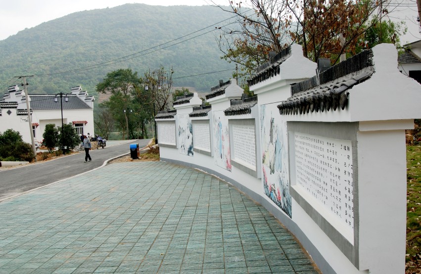 DSC_7066_conew1.JPG
