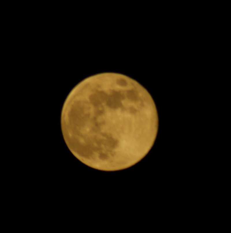 DSC09636.JPG