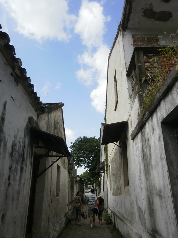 P8260387.jpg