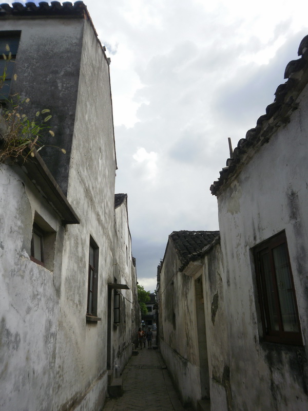 P8260389.jpg