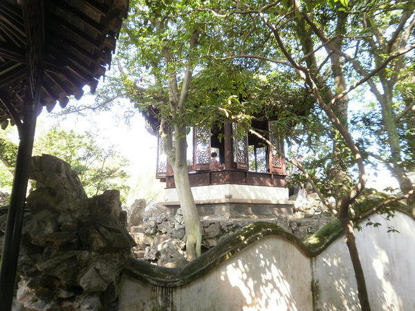 P8260186.jpg